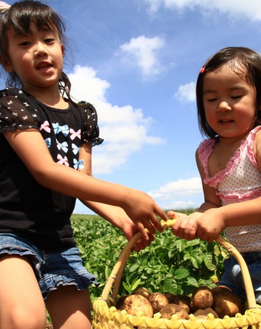とりたて野菜もぐもぐ体験