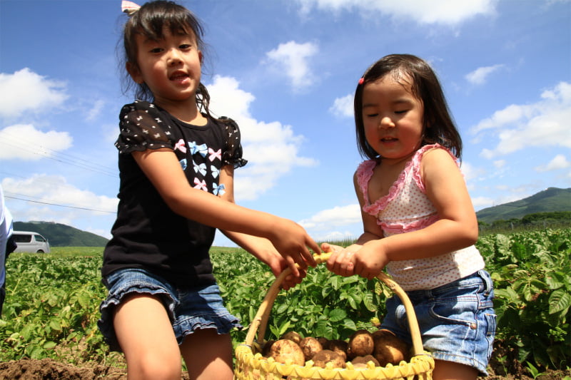 Harvest Hokkaido Vegetable 