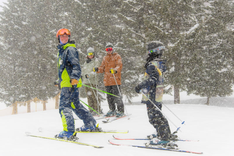 Private Ski Lesson (1-5 people)