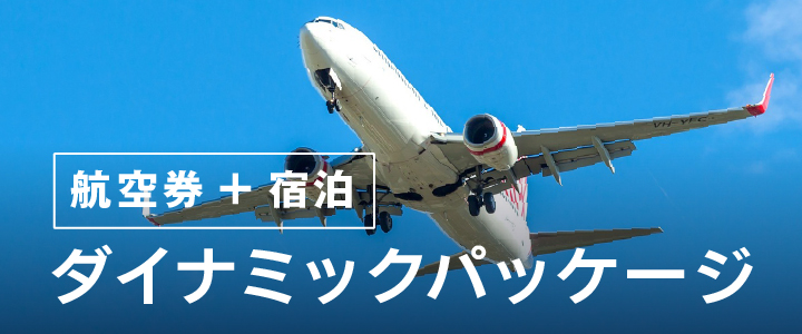 航空券付パッケージ