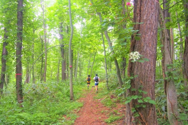 気軽に山歩きとランニングが楽しめる「Rusutsu Trail」でマウンテンリゾートを満喫しよう
