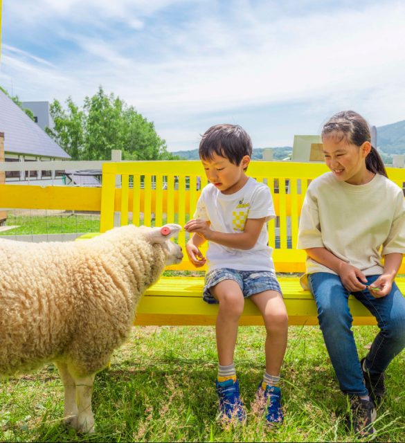 ひつじのふれあい