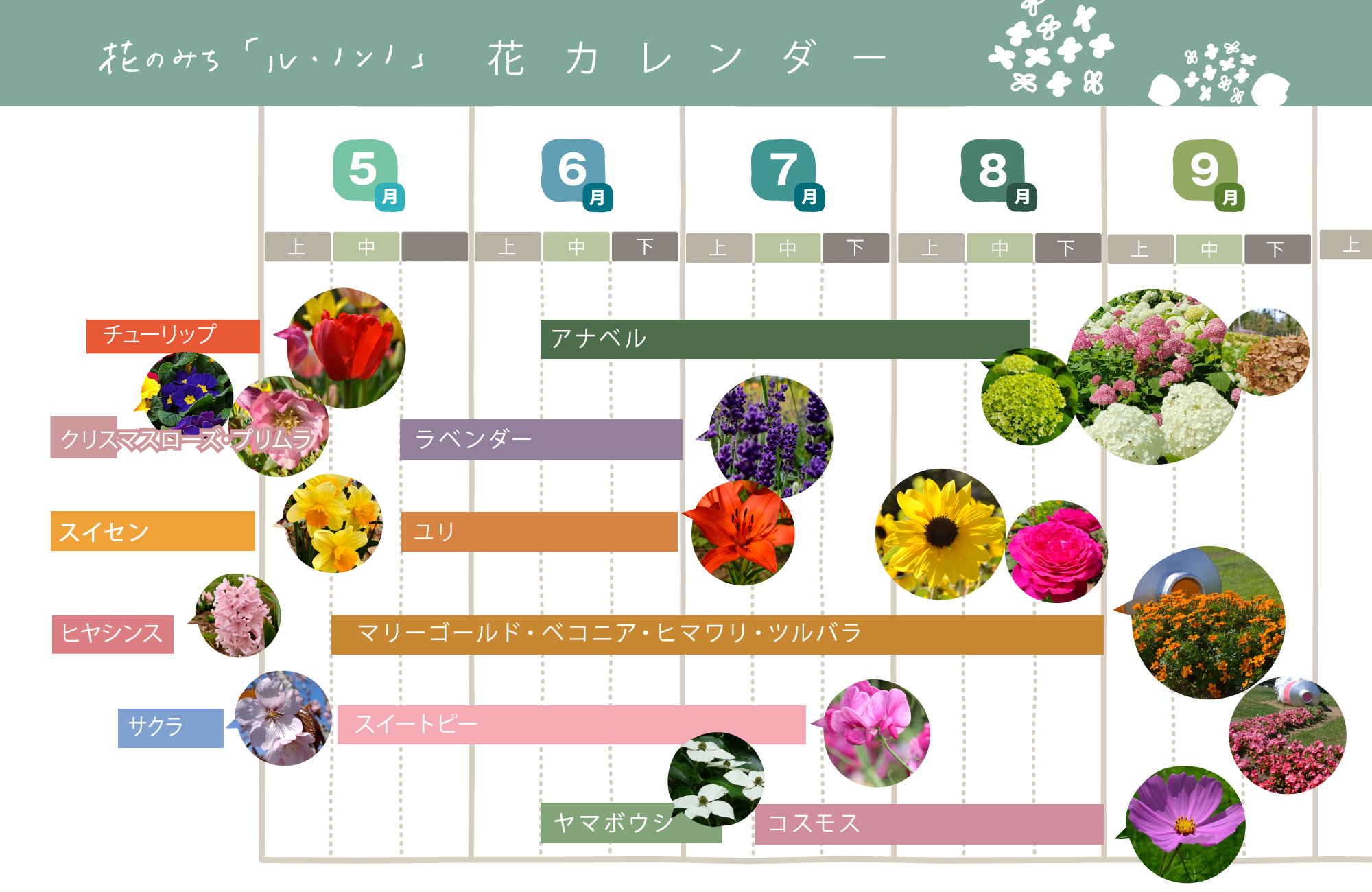 花の開花カレンダー