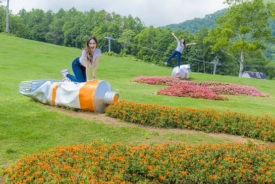 絵の具花壇
